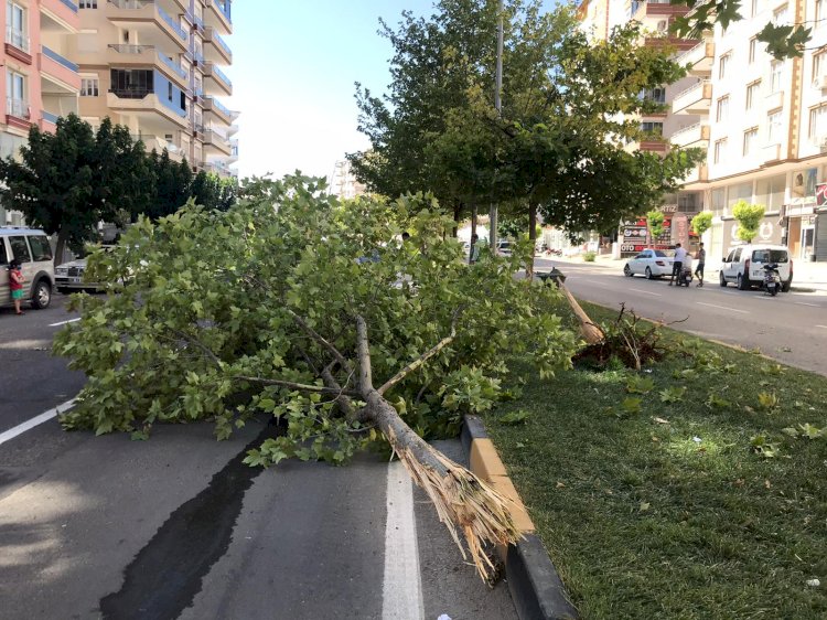 Nizip’te Trafik Kazası ;  1 Yaralı 