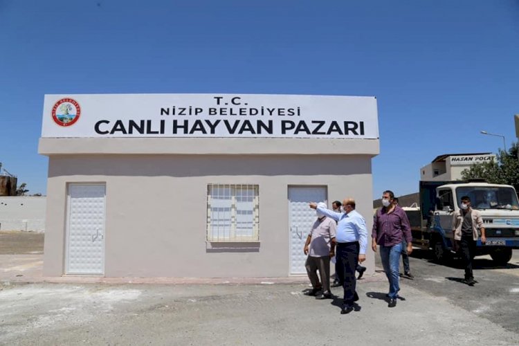 Başkan Sarı, Hayvan Pazarında incelemelerde bulundu