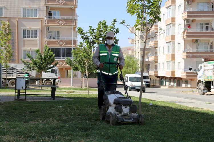 Park ve yeşil alanlarda çalışmalar sürüyor