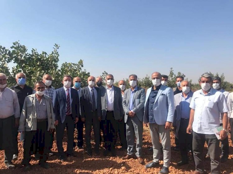 Uygulamalı Çiftçi Okulları toplantısı Nizip'te yapıldı