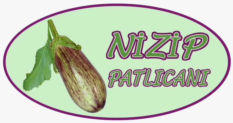 NTO Nizip Patlıcanı’nı Tescilledi