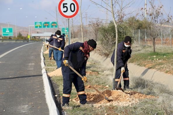 Nizip’te ağaçlandırma çalışmaları