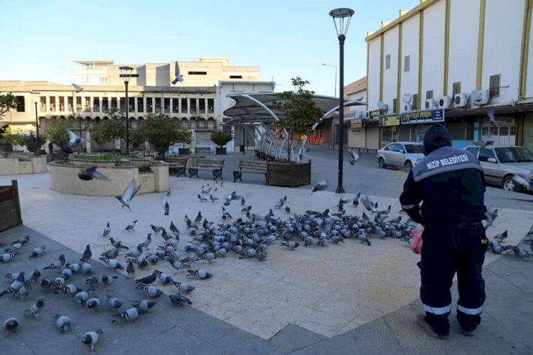 Nizip Belediyesi Sokak hayvanlarını unutmuyor