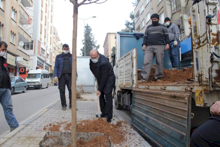 Başkan Sarı ağaçlandırma çalışmasına katıldı