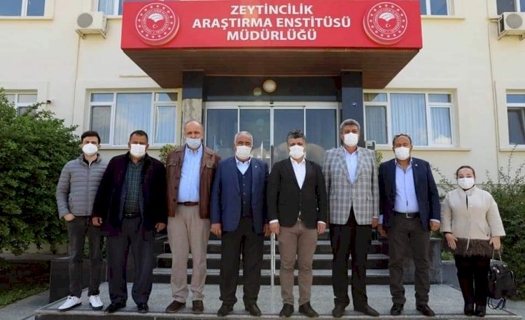 NTO Meclis Başkanı Karabacak Zeytincilik İnceleme Gezisine Katıldı