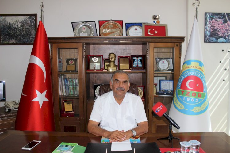Nizip'te boz Antep fıstığı hasadı başladı