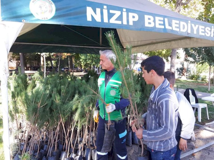 Nizip Belediyesi 5 günde 30 bin fidan dağıttı. 