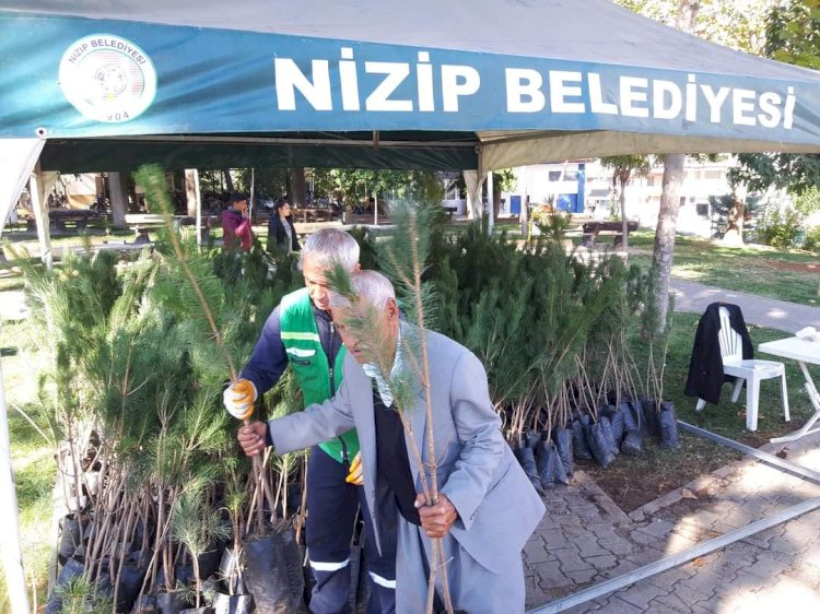 Nizip Belediyesi 5 günde 30 bin fidan dağıttı. 