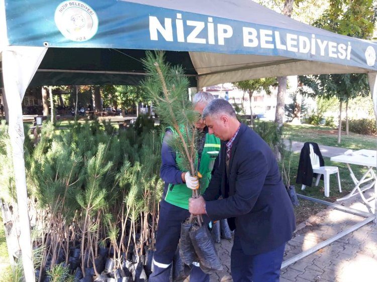 Nizip Belediyesi 5 günde 30 bin fidan dağıttı. 