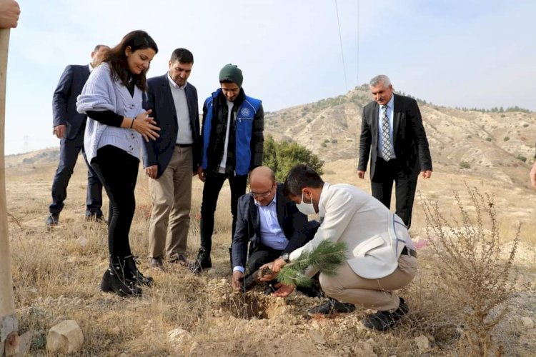 Başkan Sarı, Üniversite öğrencileriyle fidan dikti