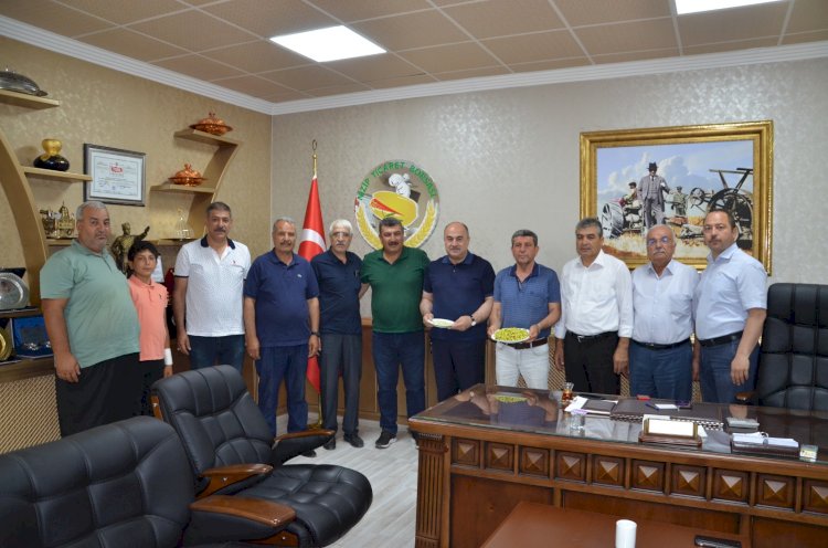 Yılın İlk Fıstığı Altınla Ödüllendirildi