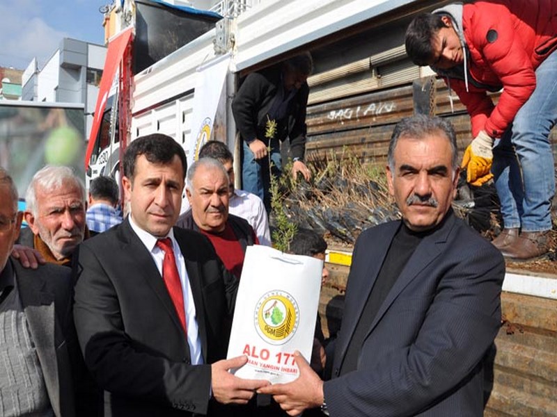 ZİRAAT ODASINDA BALLI AĞAÇ DAĞITIMI