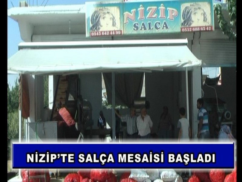 NİZİPTE SALÇA MESAİSİ BAŞLADI