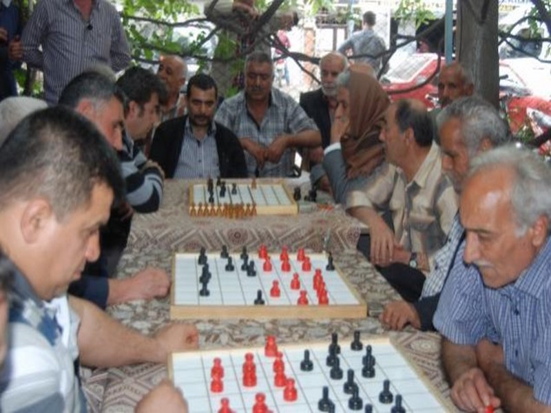NİZİPTE DAMA TURNUVASI