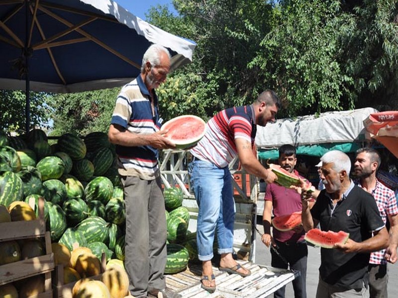 KESMECE KARPUZA YOĞUN İLGİ