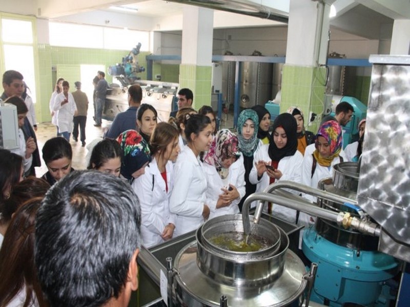 ÜNİVERSİTE ÖĞRENCİLERİNİN FİRMA ZİYARETİ