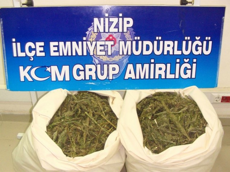 NİZİPTE 15 KİLO ESRARA 1 TUTUKLAMA