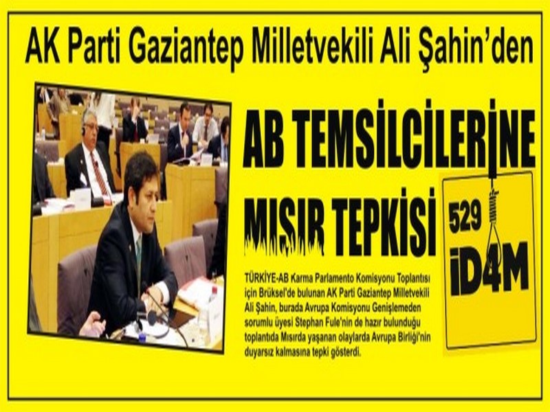 AK PARTİLİ ŞAHİNDEN AB TEMSİLCİLERİNE MISIR TEPKİSİ