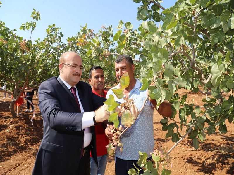 Gastronomi Festivali Coşkulu Geçti