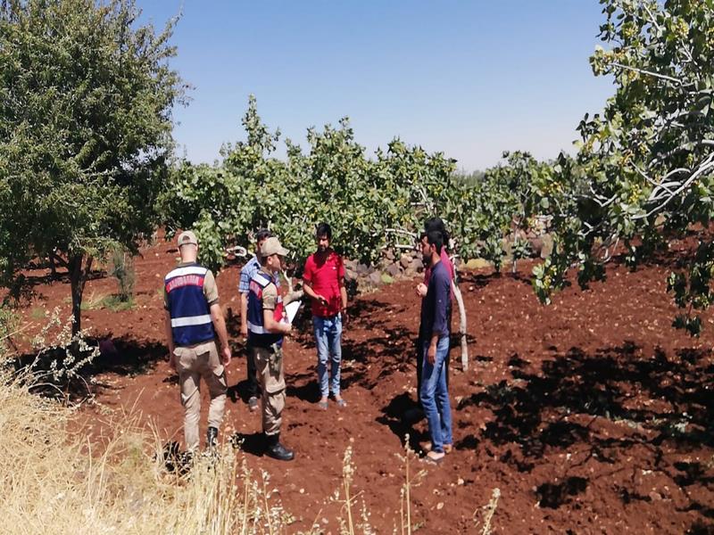 FISTIK HIRSIZLIĞINA KARŞI KLİP YAPTILAR