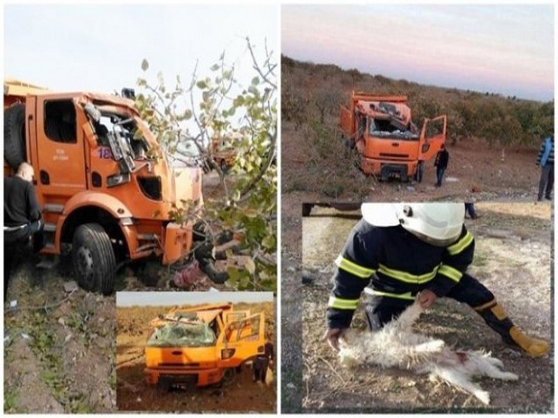 KURTARMAYA ÇALIŞTIĞI KÖPEK KAZAYA NEDEN OLDU