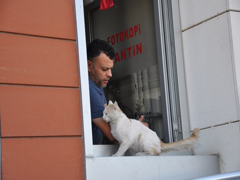 NİZİP ADLİYESİNİN SEVİMLİ MİSAFİRİ BONCUK KEDİ