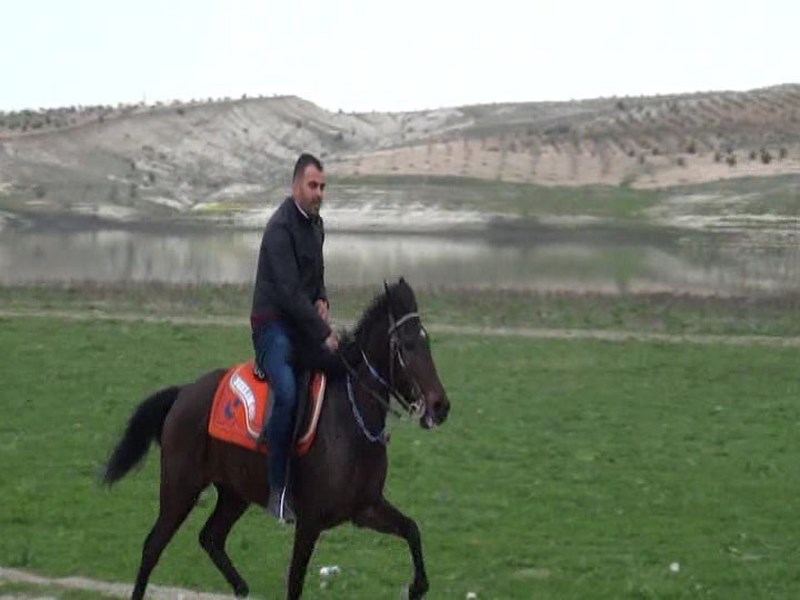NİZİPTE RAHVAN AT YARIŞLARI