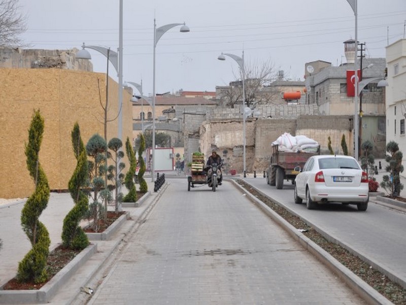 BÜYÜKŞEHİR BELEDİYESİNDEN AĞAÇLANDIRMA ÇALIŞMASI